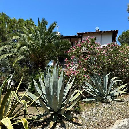 Villa Rena Vourvourou Esterno foto