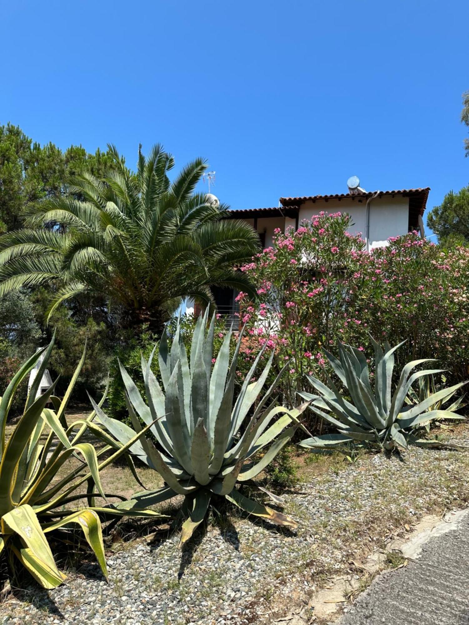 Villa Rena Vourvourou Esterno foto