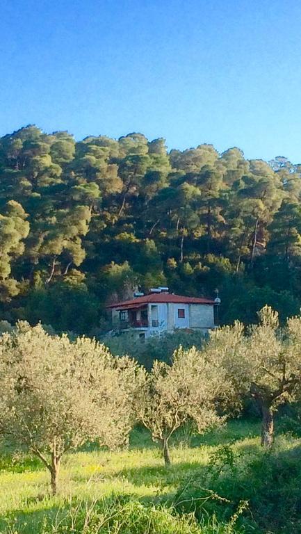 Villa Rena Vourvourou Esterno foto