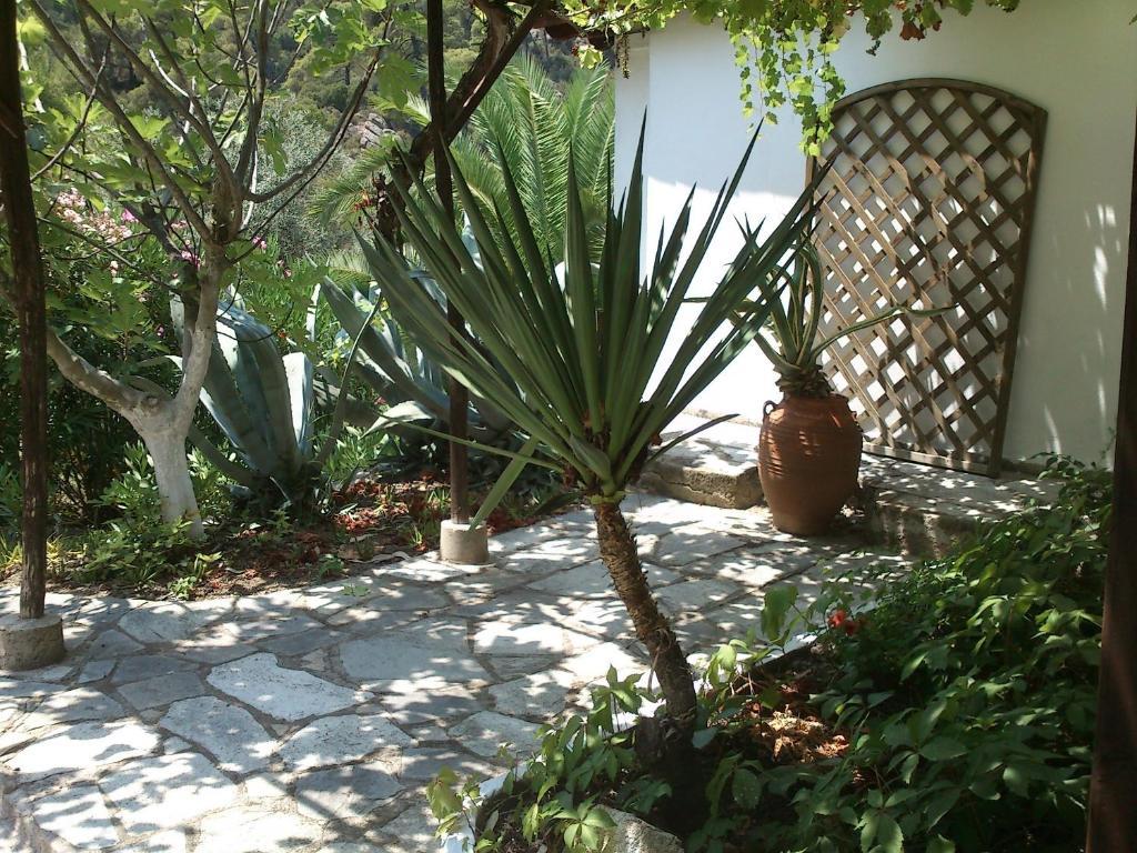 Villa Rena Vourvourou Camera foto